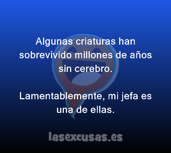 Algunas criaturas han sobrevivido millones de años sin cerebro.

Lamentablemente, mi jefa es una de ellas.